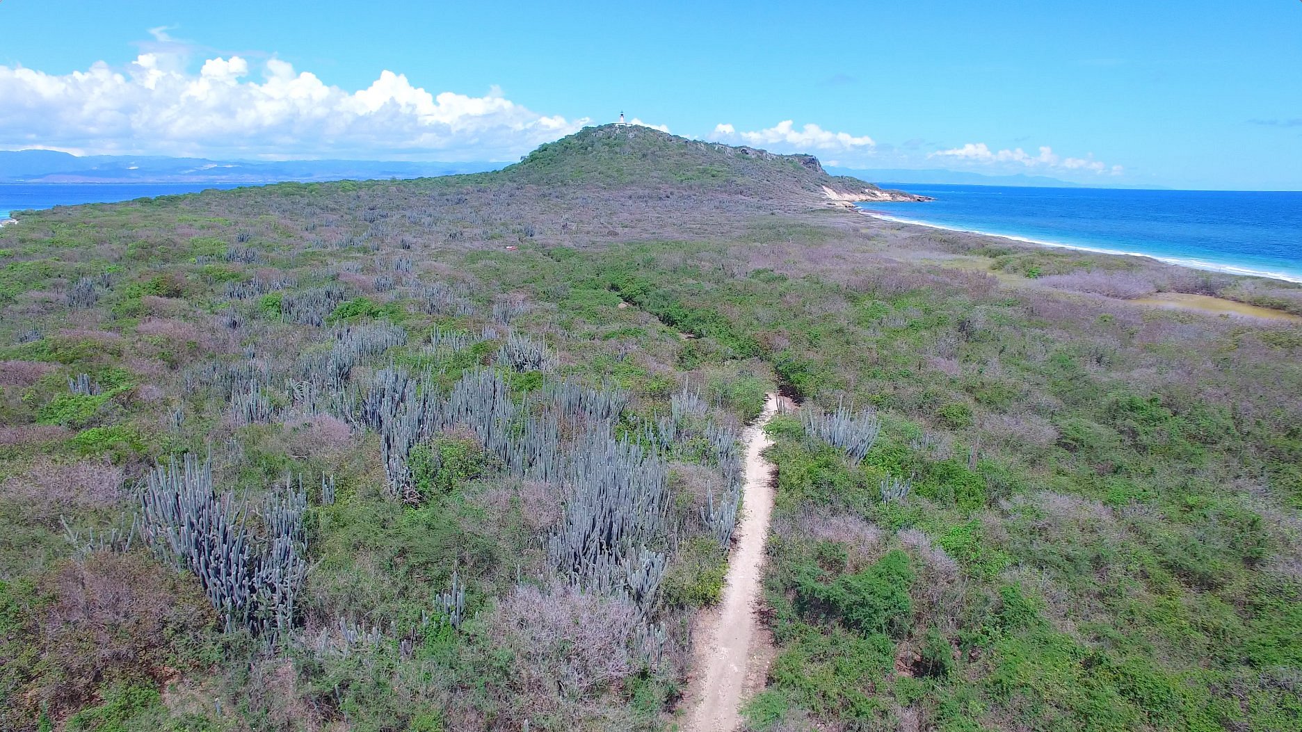 Isla Caja De Muertos Ponce Puerto Rico Trail